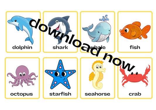 sea Animals Flashcards