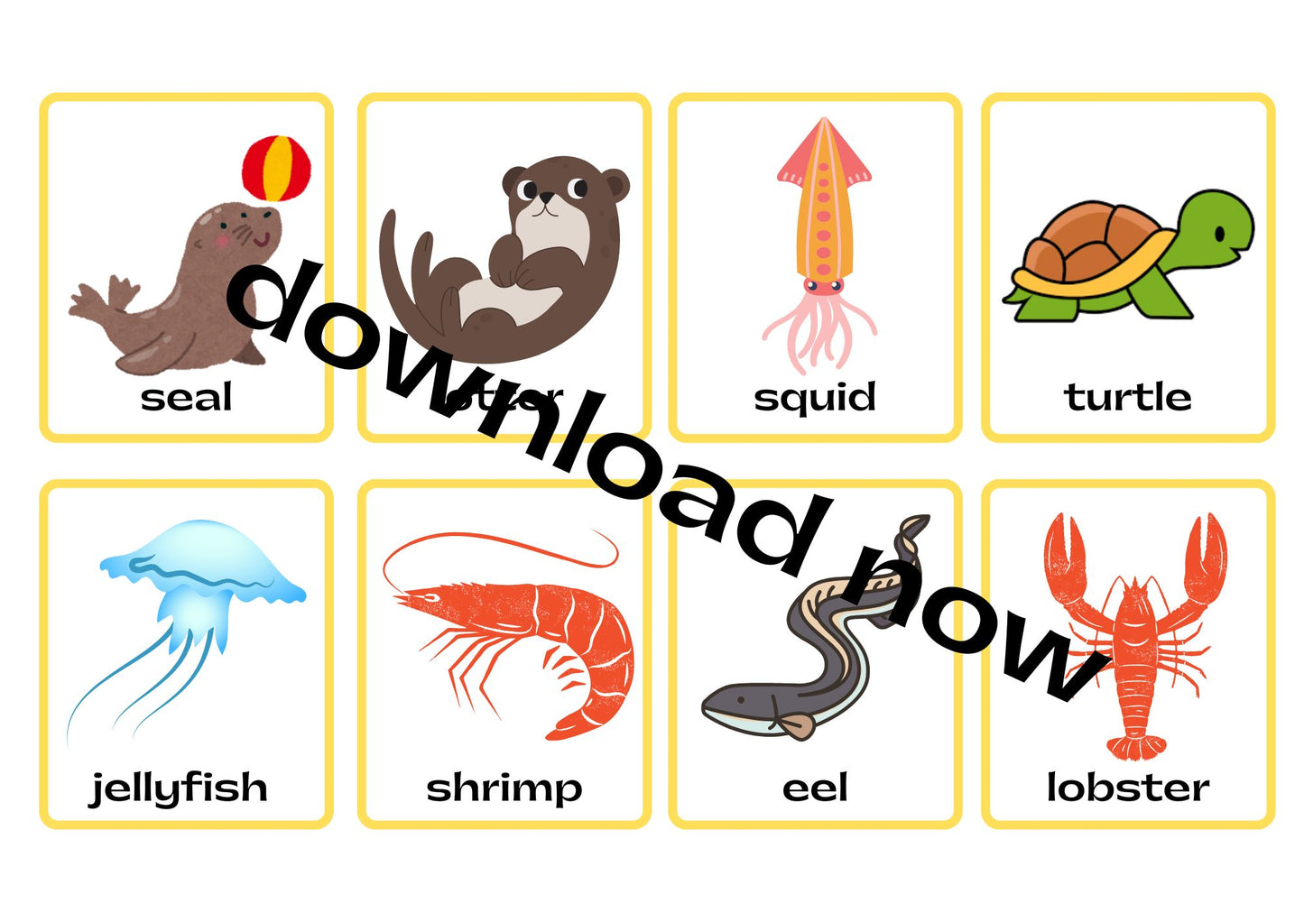 sea Animals Flashcards
